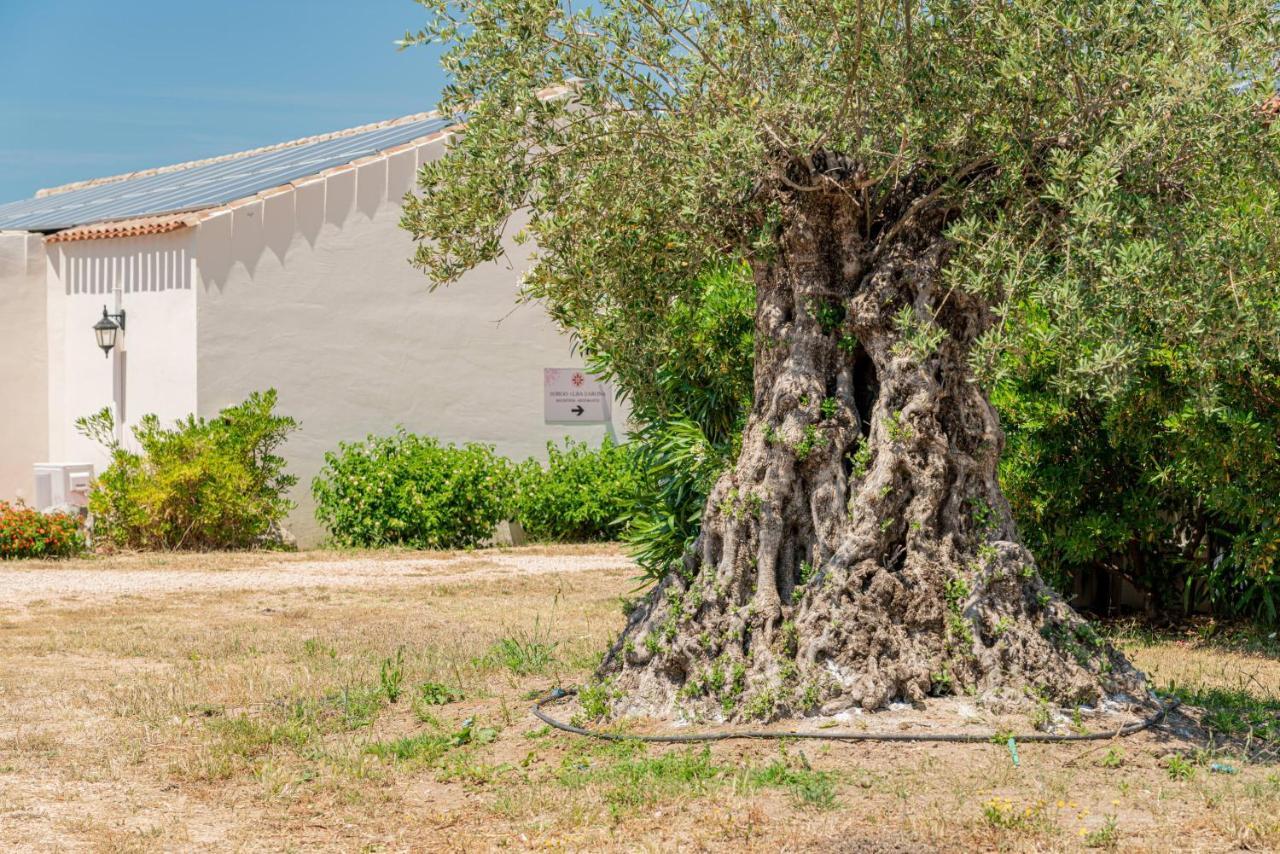 Borgo Alba Barona Turismo Rurale Golfo Aranci Buitenkant foto